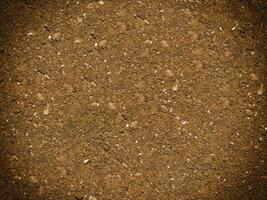 Ground texture outdoor photo