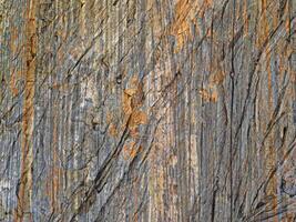 outdoor wood texture photo