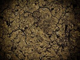 Dark Earth Texture In The Garden photo