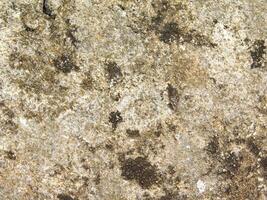 Stone texture outdoor photo