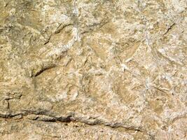 Stone texture outdoor photo