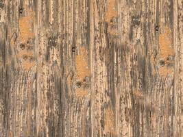 outdoor wood texture photo