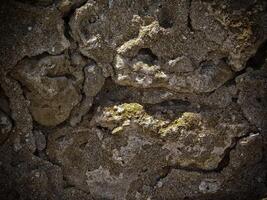 textura de piedra oscura en el jardín foto