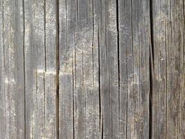 Wood texture outdoor photo