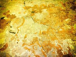 Texture Of Yellow Stone In The Garden photo