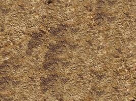 Brown Stone Texture photo