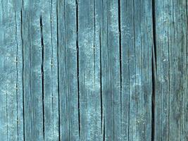 outdoor wood texture photo