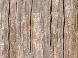 Wood texture outdoor photo