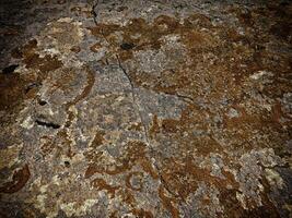 Dark Stone Texture In The Garden photo