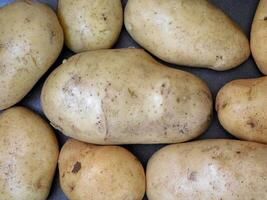 Potatoes in the kitchen photo