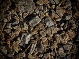 textura de piedra oscura en el jardín foto