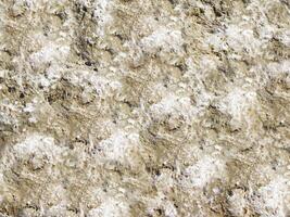 Stone texture outdoor photo