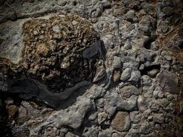 Dark Stone Texture In The Garden photo