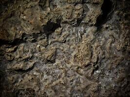 textura de piedra oscura en el jardín foto