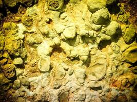 Texture Of Yellow Stone In The Garden photo