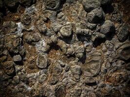 Dark Stone Texture In The Garden photo