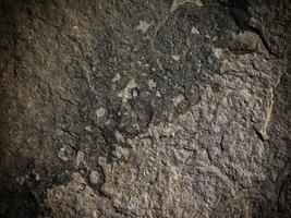 Dark Stone Texture In The Garden photo