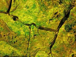 Green Stone Texture photo