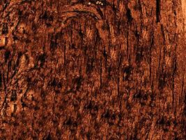 Dark Brown Wood Texture photo