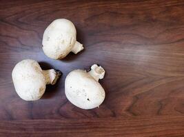 Mushrooms in the kitchen photo