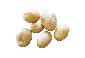 Potatoes In The Kitchen On White Background photo