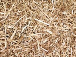 Straw texture outdoor photo