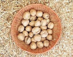 nuts in the kitchen photo