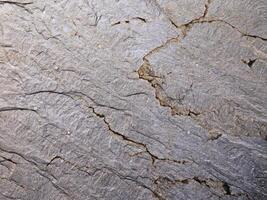 textura de mármol al aire libre en el jardín foto