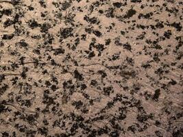 textura de mármol al aire libre en el jardín foto