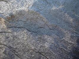 Marble Texture Outdoor In The Garden photo