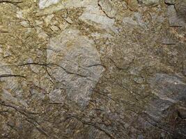 textura de mármol al aire libre en el jardín foto