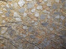 textura de mármol al aire libre en el jardín foto