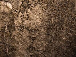 textura de mármol al aire libre en el jardín foto