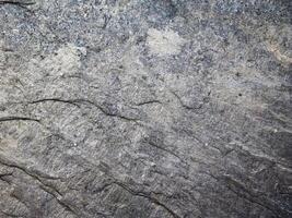 Marble Texture Outdoor In The Garden photo