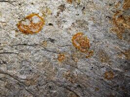 textura de mármol al aire libre en el jardín foto