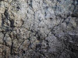 textura de mármol al aire libre en el jardín foto