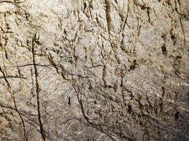 textura de mármol al aire libre en el jardín foto