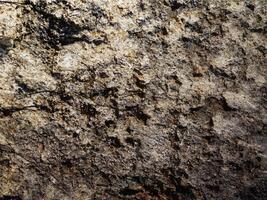 textura de mármol al aire libre en el jardín foto