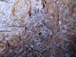 Marble Texture Outdoor In The Garden photo