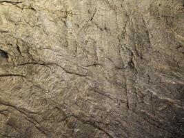 textura de mármol al aire libre en el jardín foto