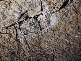 textura de mármol al aire libre en el jardín foto