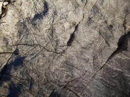 textura de mármol al aire libre en el jardín foto