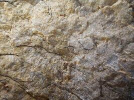 textura de mármol al aire libre en el jardín foto