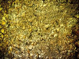 Texture Of Yellow Stone In The Garden photo