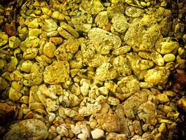 Texture Of Yellow Stone In The Garden photo