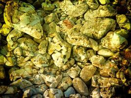 Texture Of Yellow Stone In The Garden photo