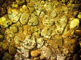 Texture Of Yellow Stone In The Garden photo