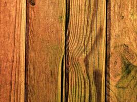 Dark Brown Wood Texture photo