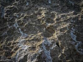 textura de piedra oscura en el jardín foto