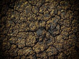 Dark Earth Texture In The Garden photo